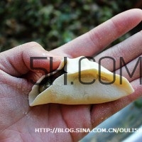 餃子和面用熱水還是冷水？餃子和面要醒多長(zhǎng)時(shí)間？