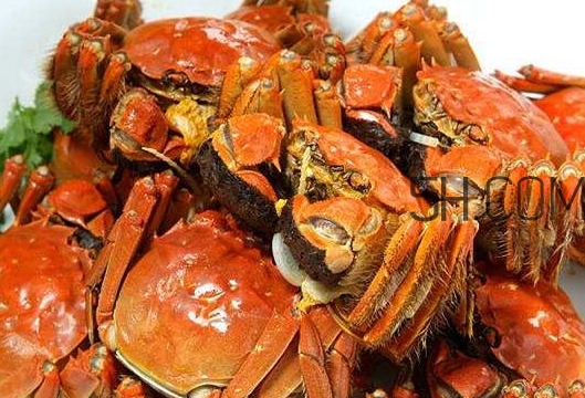 孕婦吃螃蟹多久流產(chǎn)？孕婦吃多少螃蟹會(huì)流產(chǎn)？