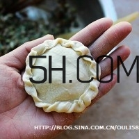 怎么包餃子快又好看？十種家常包餃子的方法~