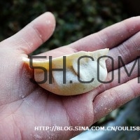 餃子和面用熱水還是冷水？餃子和面要醒多長(zhǎng)時(shí)間？