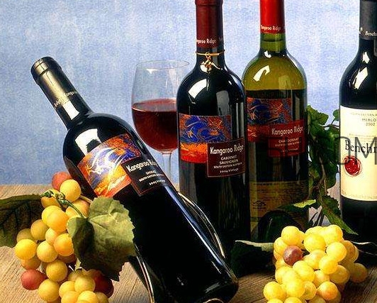 小孩能不能喝葡萄酒？高血糖能不能喝葡萄酒