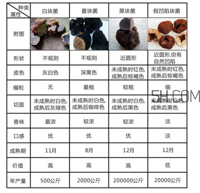 松露怎么分辨真假？松露怎么清洗