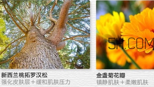 the saem得鮮眼霜適合什么年齡？得鮮眼霜怎么樣？