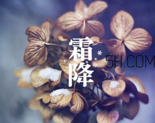 2017霜降會(huì)下雨嗎 霜降下雨好嗎