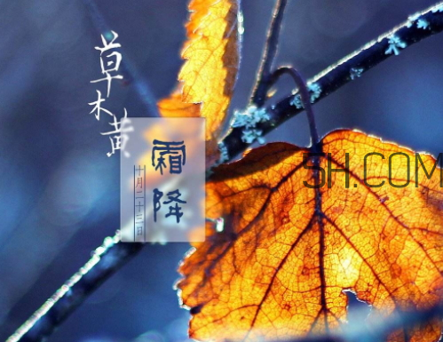 2017霜降會(huì)下雨嗎 霜降下雨好嗎
