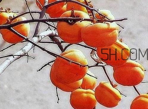 2017霜降會(huì)下雨嗎 霜降下雨好嗎