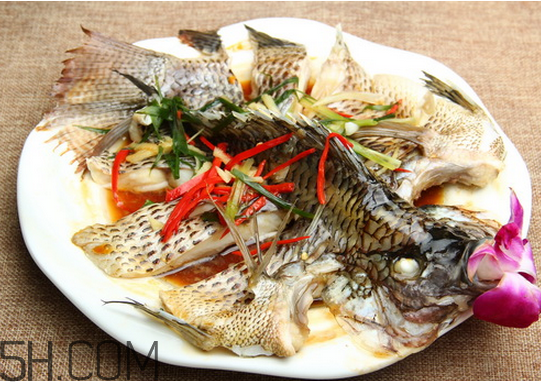 沒有魚刺的魚是哪種魚？如何挑選魚？