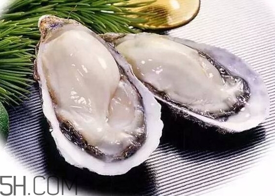 海蠣子是寒性的嗎？海蠣子是蒸還是煮好吃