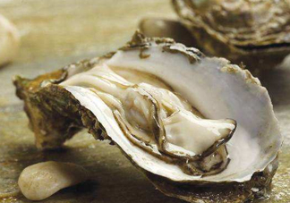 海蠣子是生蠔嗎？海蠣子和生蠔的區(qū)別
