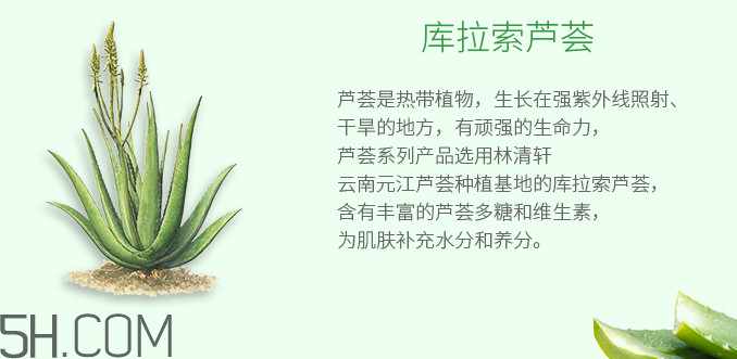 林清軒蘆薈面膜泥怎么樣？林清軒蘆薈面膜泥測評