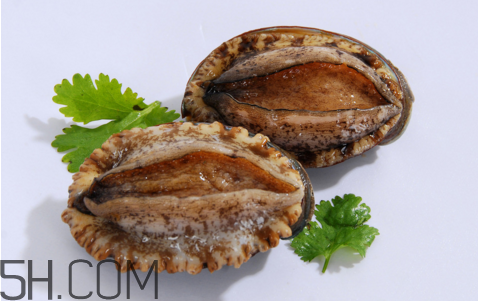 鮑魚吃了會上火嗎？鮑魚是發(fā)物嗎？