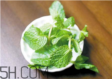 感冒可以喝酒嗎？薄荷治療感冒的方法