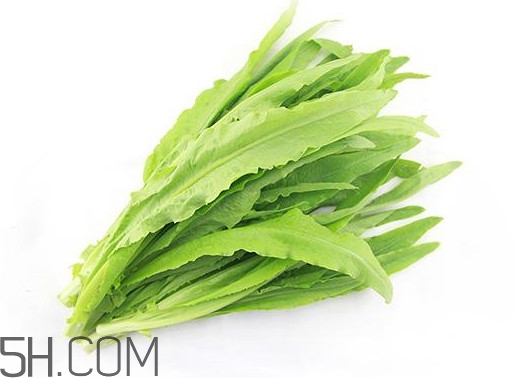 油麥菜是轉(zhuǎn)基因蔬菜嗎？油麥菜是發(fā)物嗎