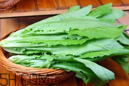 西紅柿和油麥菜能一起吃嗎？油麥菜能包餃子嗎