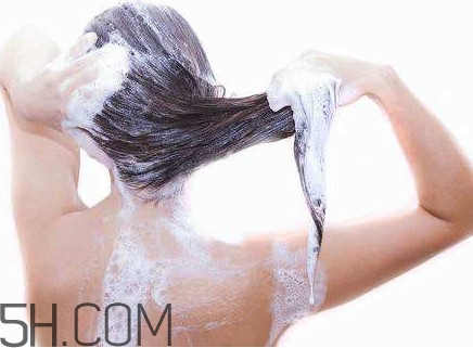 醋洗頭是白醋還是陳醋？用醋洗頭要用洗發(fā)水嗎？