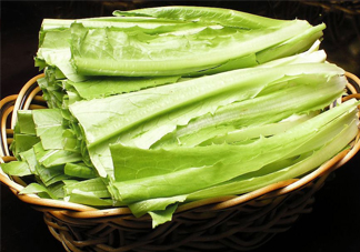 西紅柿和油麥菜能一起吃嗎？油麥菜能包餃子嗎