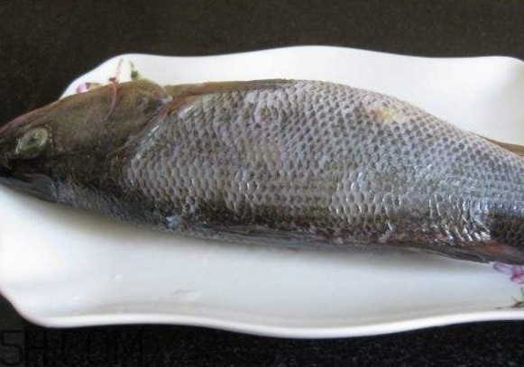 鮭魚是三文魚嗎？鮭魚的營養(yǎng)價值