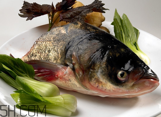 胖頭魚有什么營養(yǎng)？胖頭魚是鰱魚嗎