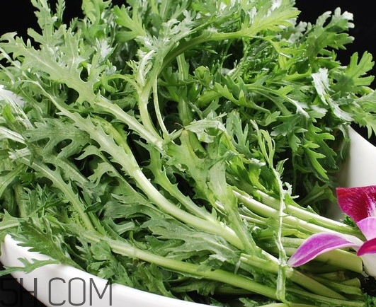 皇帝菜是什么樣子？皇帝菜又叫什么菜