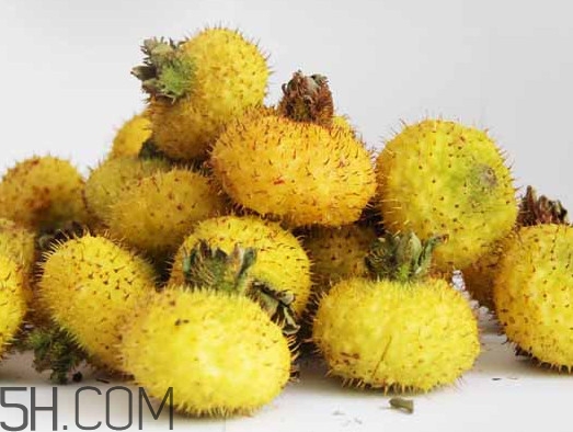 刺梨能降血壓?jiǎn)幔看汤媸悄睦锏奶禺a(chǎn)