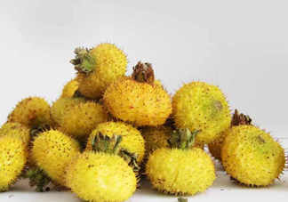 刺梨能降血壓?jiǎn)?？刺梨是哪里的特產(chǎn)