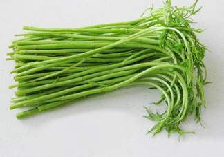 藜蒿多少錢一斤？藜蒿和蘆蒿是同一種菜嗎？