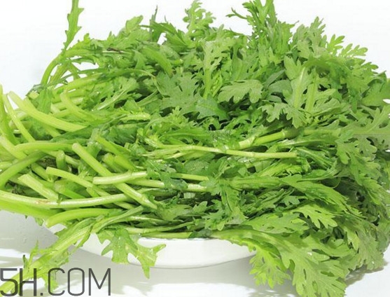 皇帝菜與什么煲湯好吃？皇帝菜性寒嗎