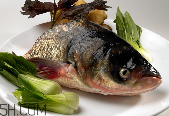 胖頭魚(yú)吃什么？胖頭魚(yú)怎么殺