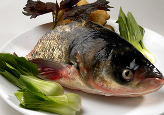 胖頭魚吃什么？胖頭魚怎么殺