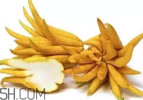 佛手柑是佛手瓜嗎？佛手柑和佛手瓜的區(qū)別
