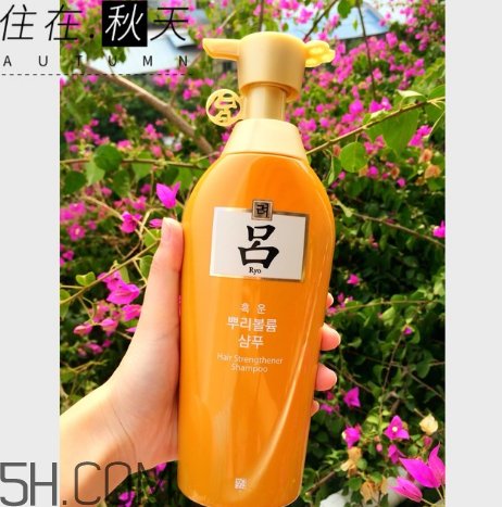 黃呂洗發(fā)水怎么樣？黃呂洗發(fā)水適合人群