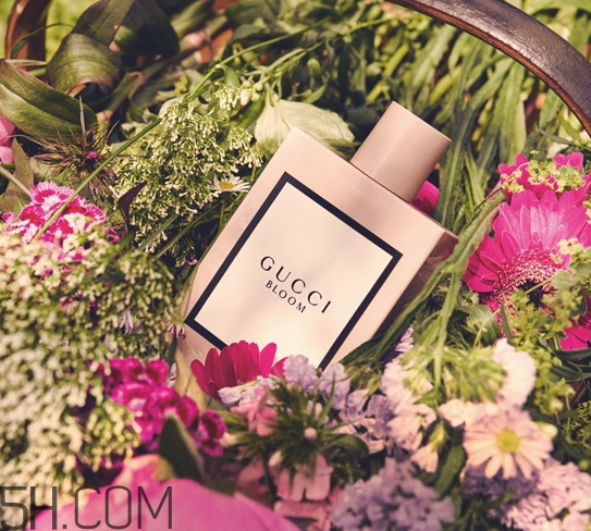 gucci bloom香水多少錢？gucci bloom香水專柜價格