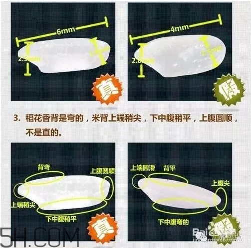 五常大米怎么辨別真假？五常大米和普通米的區(qū)別