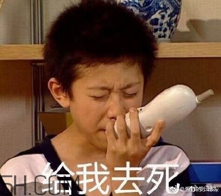 diediedie什么意思？diediedie表情包