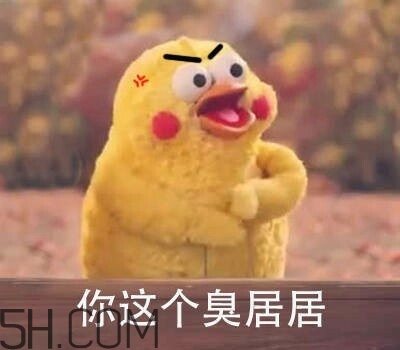 你個臭居居什么意思？你個臭居居表情包