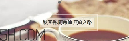冬天適合什么香水？適合冬天的小眾香型香水推薦