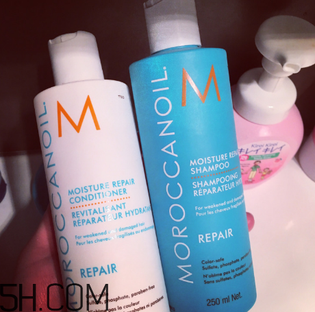 moroccanoil摩洛哥油洗發(fā)水怎么樣？摩洛哥油洗發(fā)水適合發(fā)質(zhì)