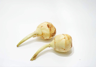 慈菇是發(fā)物嗎？慈菇是馬蹄嗎