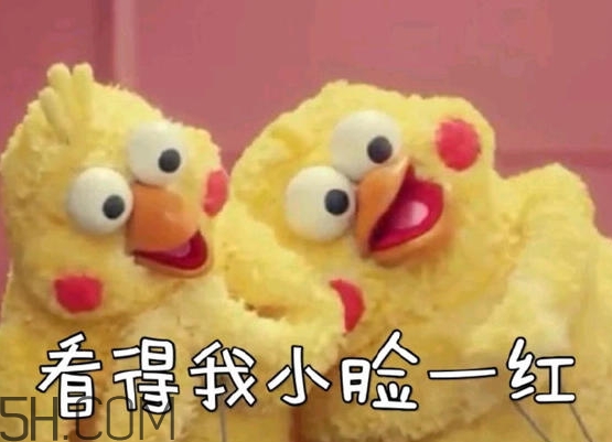 你們都是臭襪子什么意思？你們都是臭襪子表情包