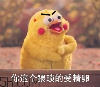 你這個猥瑣的受精卵是什么意思？你這個猥瑣的受精卵表情包