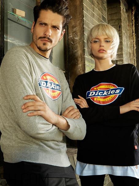 dickies質(zhì)量怎么樣？dickies是什么價(jià)位？