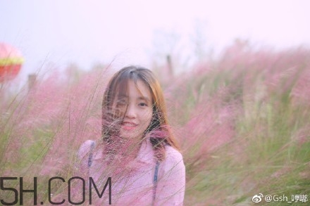 粉黛亂子是什么植物？粉黛亂子草花語(yǔ)