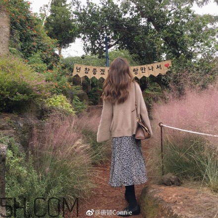 粉黛亂子是什么植物？粉黛亂子草花語(yǔ)