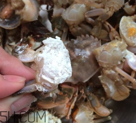 花蓋蟹和梭子蟹哪個(gè)好吃？花蓋蟹和梭子蟹區(qū)別