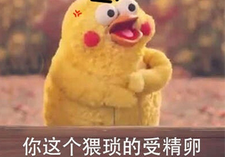 你這個(gè)猥瑣的受精卵是什么意思？你這個(gè)猥瑣的受精卵表情包