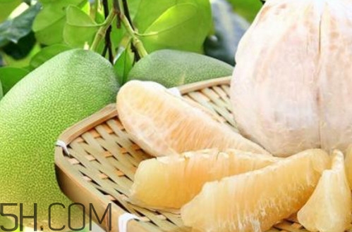 文旦柚多少錢一斤？文旦柚是寒性食物嗎