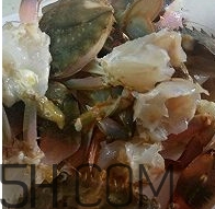 海虹蟹怎么做好吃？海紅蟹的做法