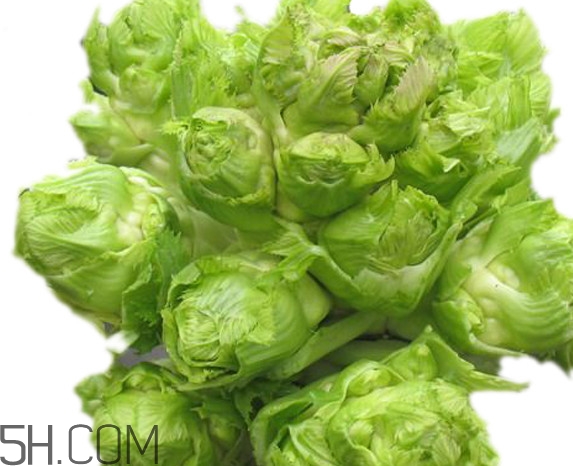 青菜頭是不是兒菜？大頭菜和兒菜的區(qū)別