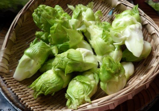 兒菜為什么叫兒菜？?jī)翰耸裁醇竟?jié)吃的