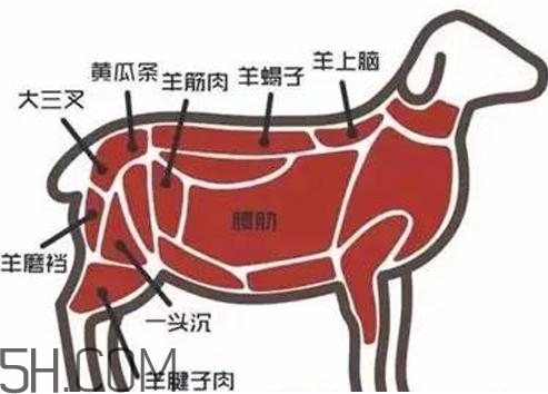 涮羊肉哪個(gè)部位最好吃？涮羊肉都有什么菜？